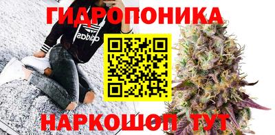 шишки Краснознаменск