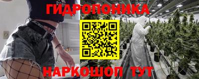 винт Краснодар